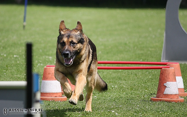 IMG_8275
