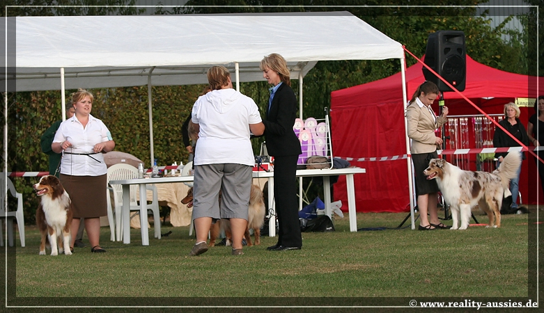09_09_neerpelt_068