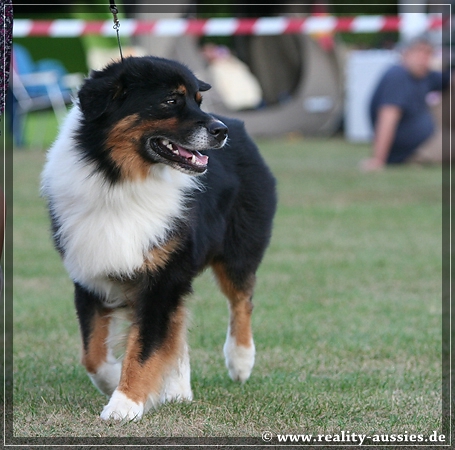 09_09_neerpelt_096