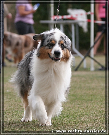 09_09_neerpelt_124