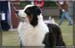 09_09_neerpelt_031