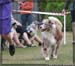 09_09_neerpelt_035
