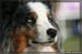09_09_neerpelt_040