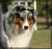 09_09_neerpelt_052