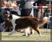 09_09_neerpelt_166