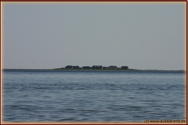 ras_0658