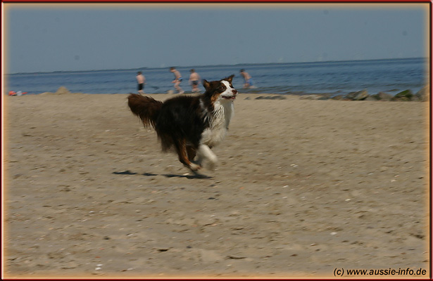 ras_0757