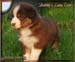 luke_4918