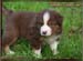 luke_4956